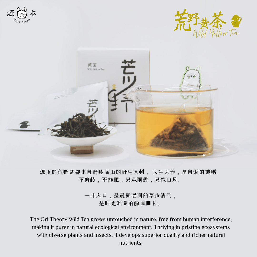 荒野黄茶 Wild Yellow Tea