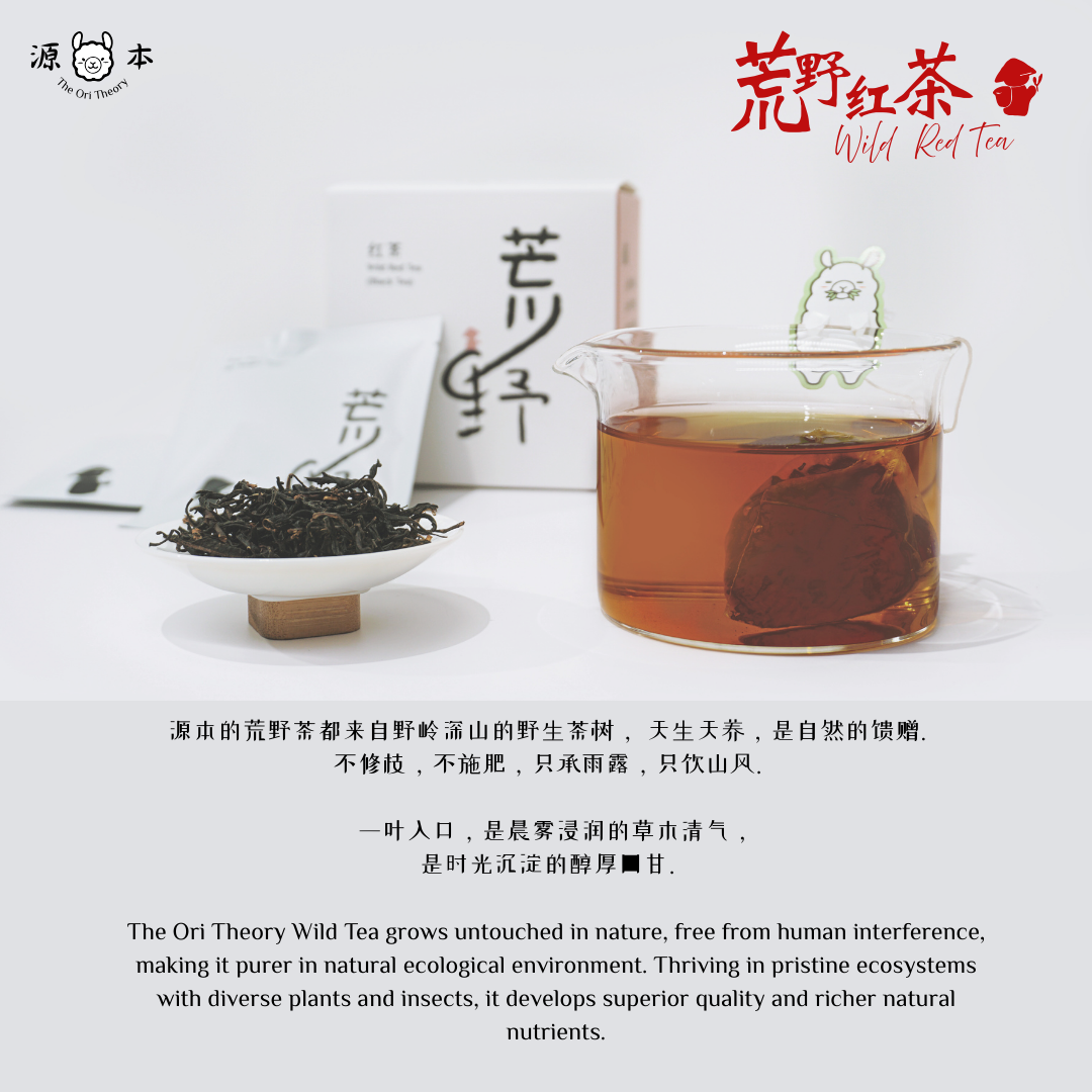 荒野红茶 Wild Red Tea