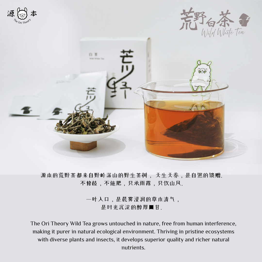 荒野白茶 Wild White Tea
