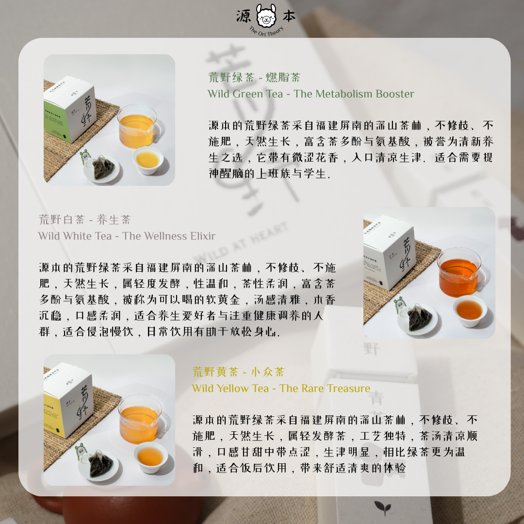 荒野茶礼盒装 Wild Tea Gift Box