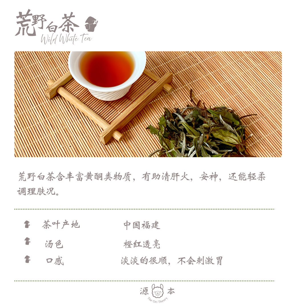 荒野白茶 Wild White Tea