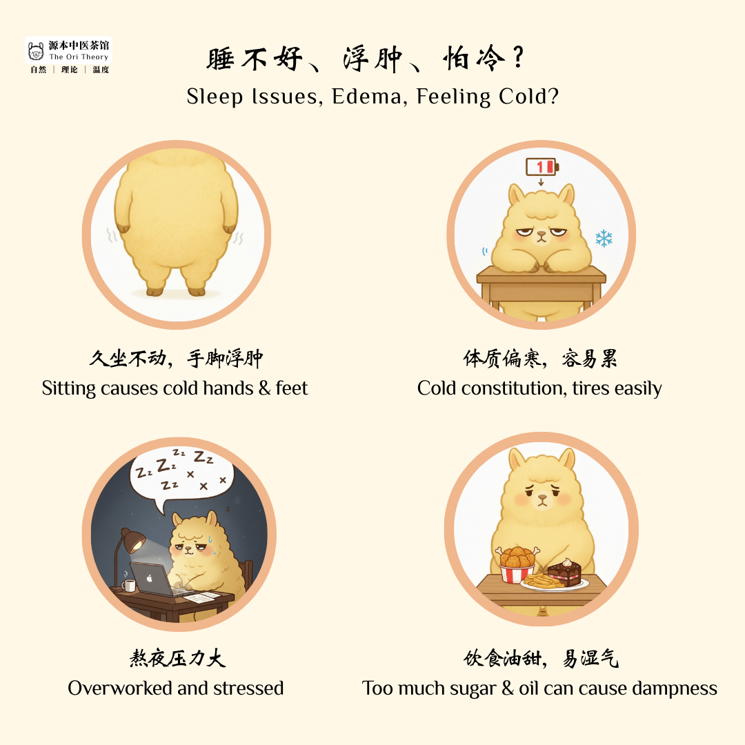 源本泡脚包 Herbal Foot Soak Pack